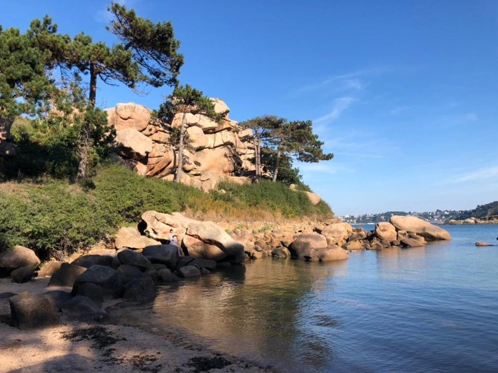 Les Ecolodges Sous Le Phare Louannec Extérieur photo